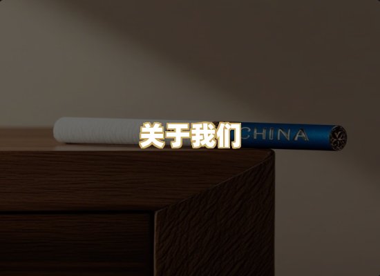 关于我们